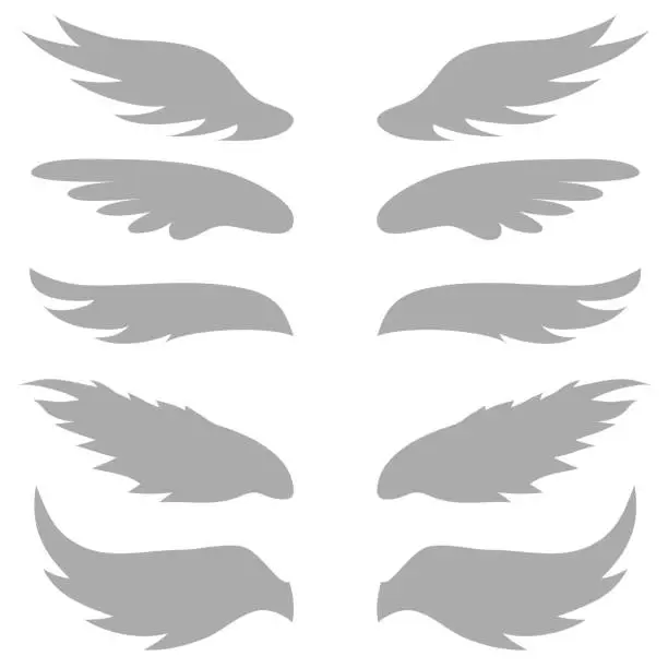 Vector illustration of set of grey wings