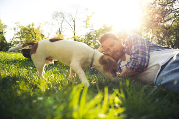 istock Man's most patient friend 667564532