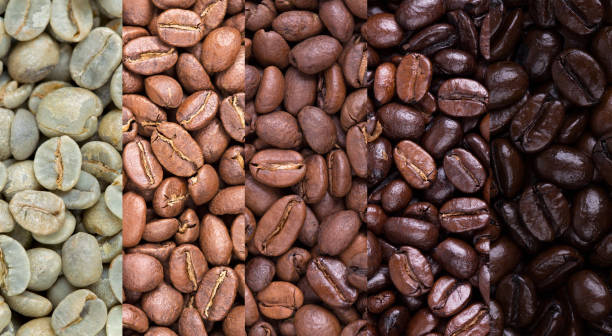 Coffee bean collage A collage of coffee beans showing various stages of roasting from raw through to Italian roast roasted stock pictures, royalty-free photos & images