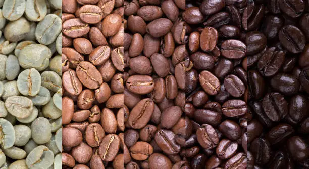 A collage of coffee beans showing various stages of roasting from raw through to Italian roast