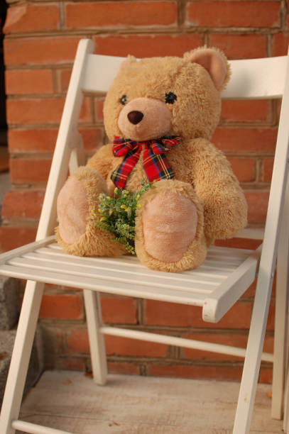 istock teddy bear is sitting on wooden chair 667571344