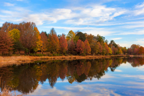 istock Reflection of autumn coloured trees 667572482