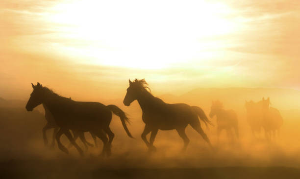 istock Running horse and evening view 667577170