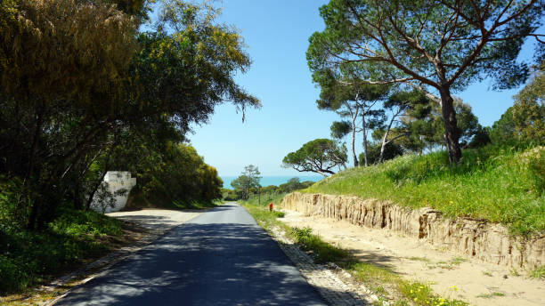 istock algarve coast near faro 667581554
