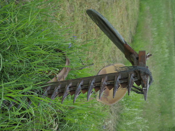 istock horse mowing machine at meadow 667581758