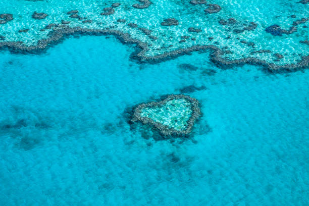 istock Heart reef in Great Barrier Reef taken from helicopter 667582532
