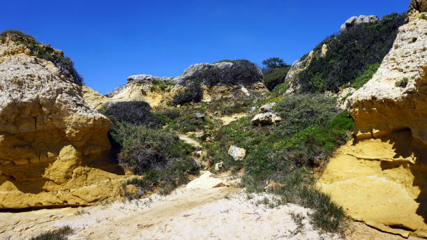 istock algarve coast near faro 667584190