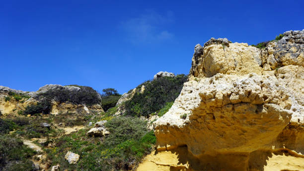 istock algarve coast near faro 667584330