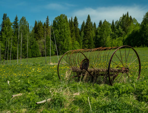 istock horses rake at meadow sunny day close-up 667584590