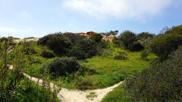 istock algarve coast near faro 667587660