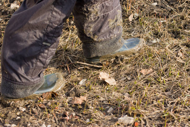istock A child in dirty rubber boots. 667592542