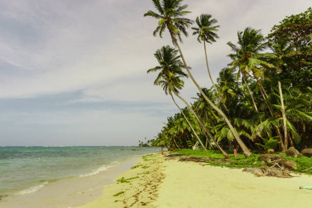 istock little corn island beach view, Nicaragua 667598502