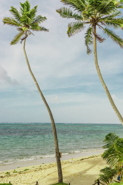 istock little corn island beach view, Nicaragua 667598522