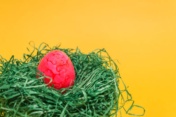 istock Easter egg in a easter nest made of green grass and yellow background 667599216