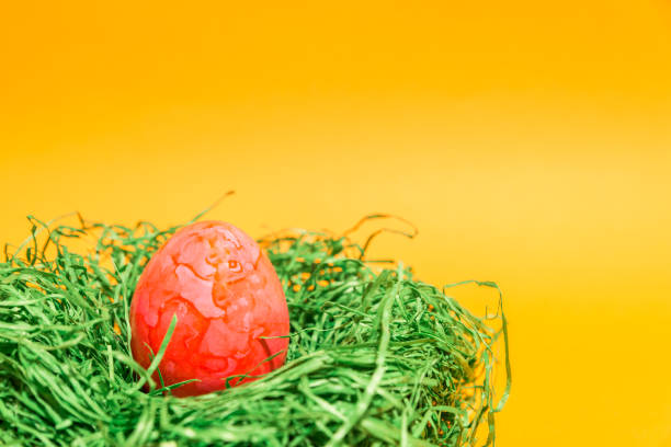 istock Easter egg in a easter nest made of green grass and yellow background 667600416