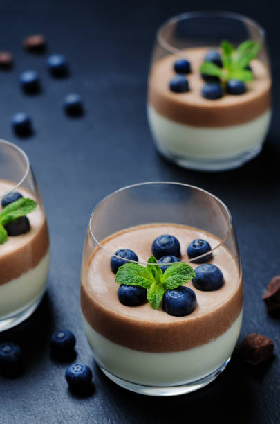 istock Greek yogurt vanilla chocolate panna cotta 667603262