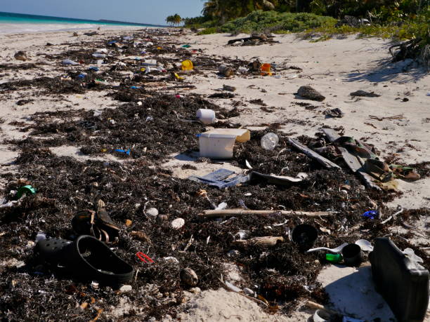 istock Pollution of the oceans 667607044