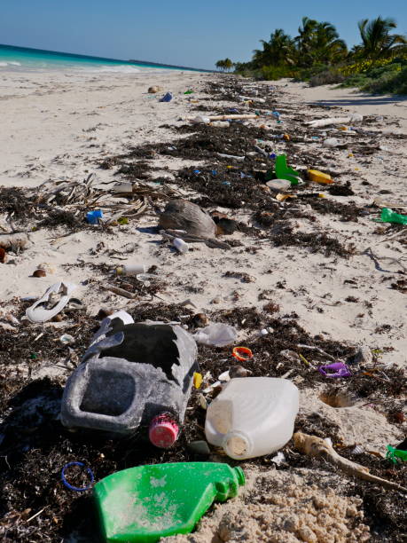 istock Pollution of the oceans 667607046