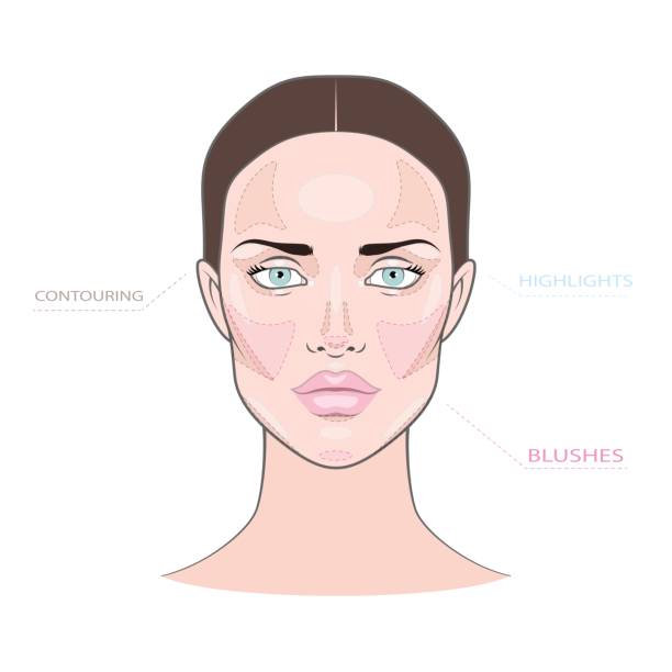 Fashion female makeup charts of blushing, contouring, highlights Face chart of strobing, contouring and blushing on white skin women beauty hair dye stock illustrations