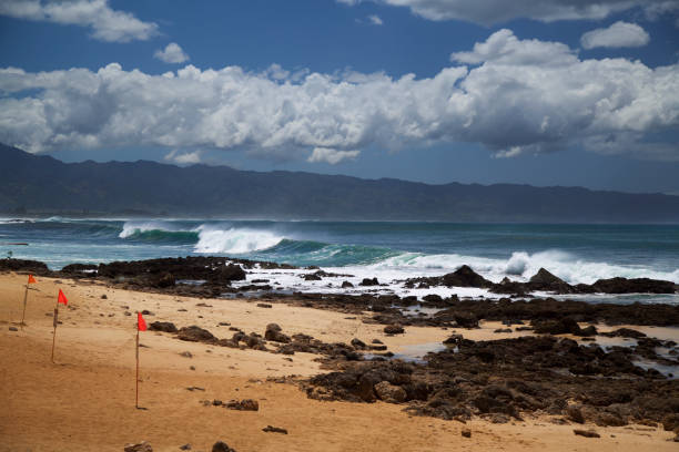 istock Red Flag day - high surf warning in Hawaii 667617978