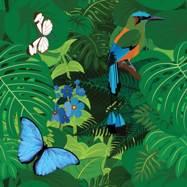 nahtloser vektor tropischen regenwald dschungel hintergrund mit motmot und schmetterlinge - sägeracke stock-grafiken, -clipart, -cartoons und -symbole