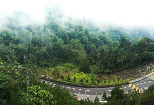 The road and trees to Genting Highland