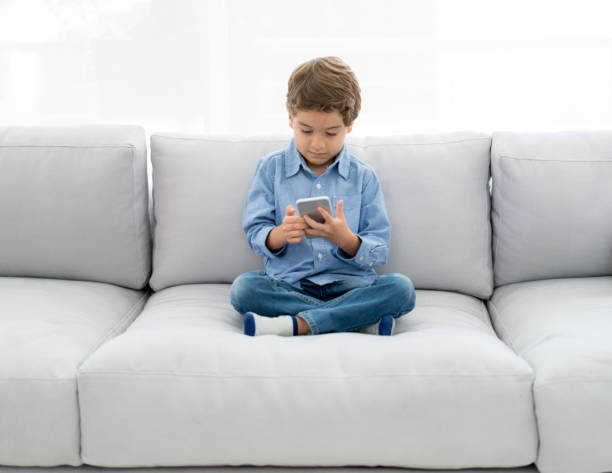 istock Boy at home playing games on a cell phone 667633116
