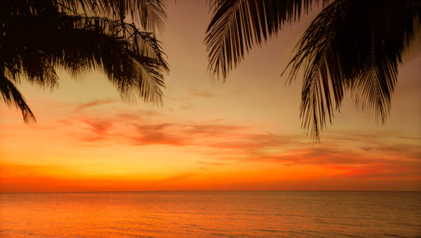 istock gorgeous mesmerizing sunset time at Cuban Cayo Coco island 667637754