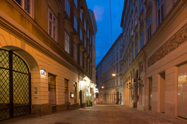 istock Empty Street (Naglergasse) in Vienna by Night 667644934