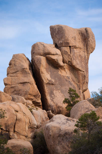 istock Joshua Tree National Park, Mojave Desert, California 667674990