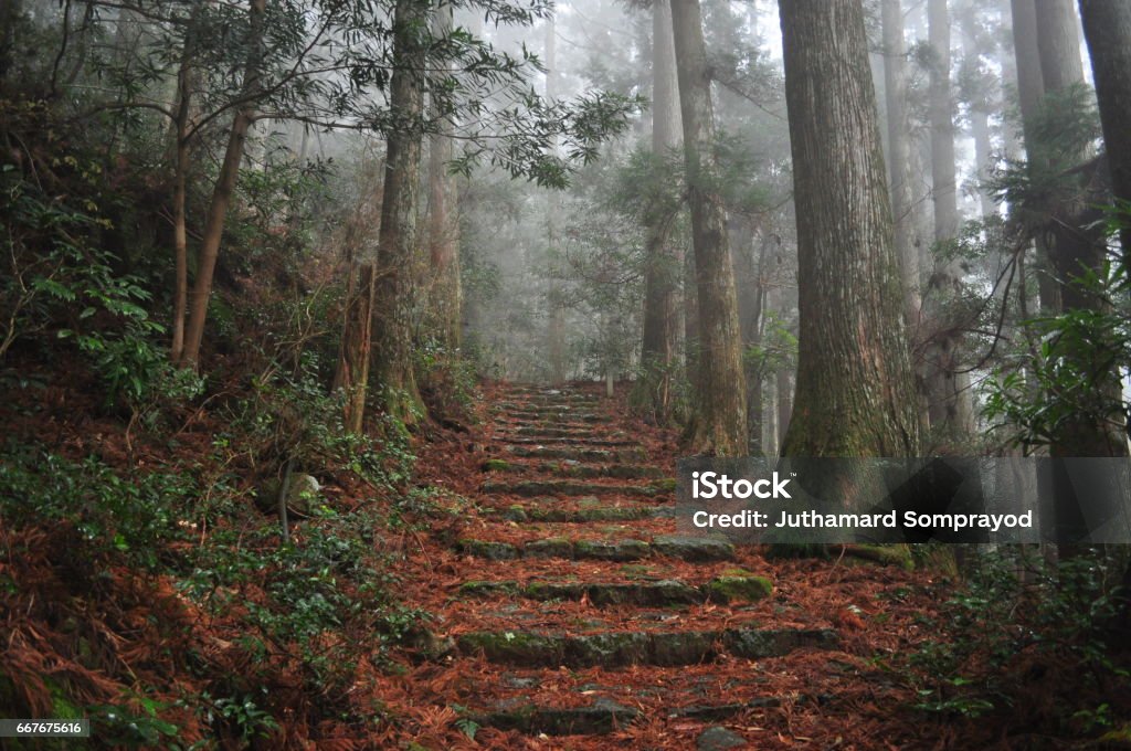 The Kumano Ancient Road Kumano, Japan at Matsumoto Pass. The pass is part of the Kumano Kodo, a series of ancient pilgrimage routes. Kumano Kodo Stock Photo