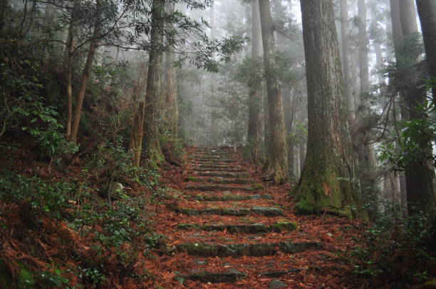 The Kumano Ancient Road Kumano, Japan at Matsumoto Pass. The pass is part of the Kumano Kodo, a series of ancient pilgrimage routes. mie prefecture photos stock pictures, royalty-free photos & images