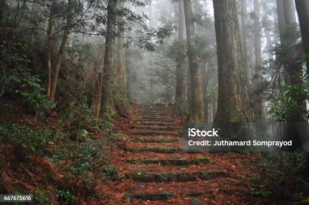 The Kumano Ancient Road Stock Photo - Download Image Now - Kumano Kodo, Kumano - Mie, Dirt Road