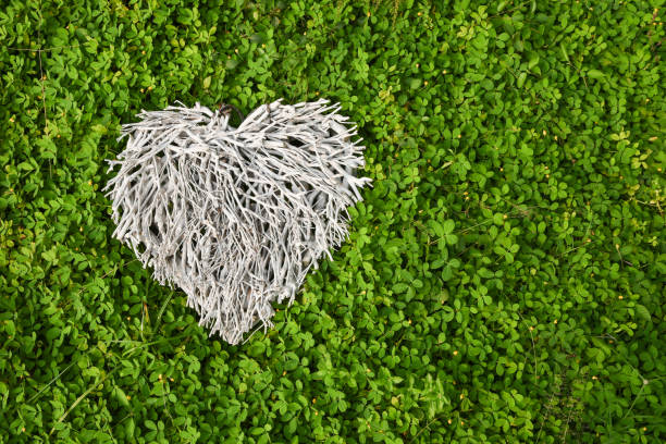 Decorative white wooden hearts in the green grass background. Valentine hearts.Saint Valentine's Day or Love concept.  love nature / save the world / heal the world / environmental preservation