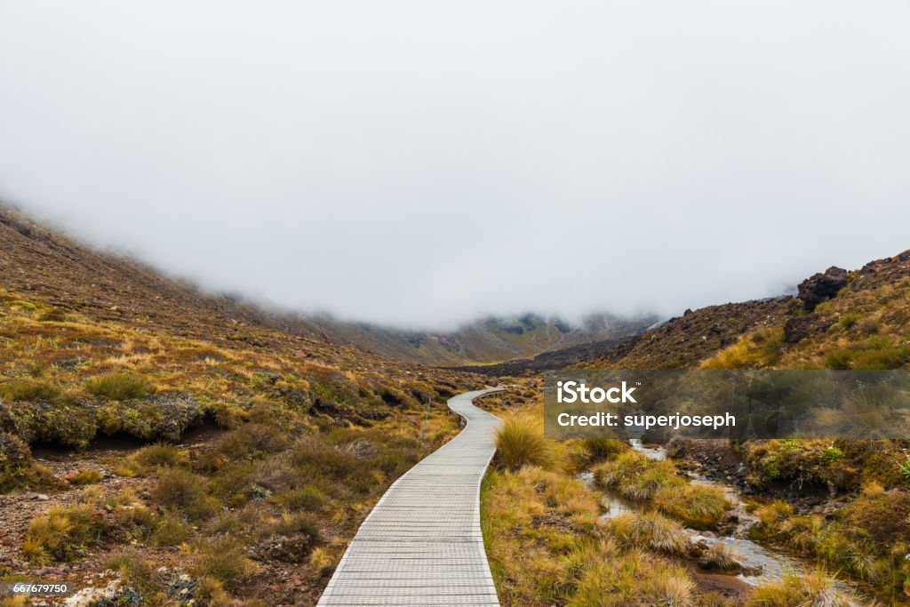 Wooden boardwalk at Tongariro National Park in New Zealand Activity Stock Photo
