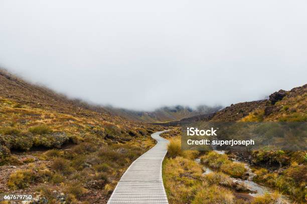 Wooden Boardwalk At Tongariro National Park In New Zealand Stock Photo - Download Image Now