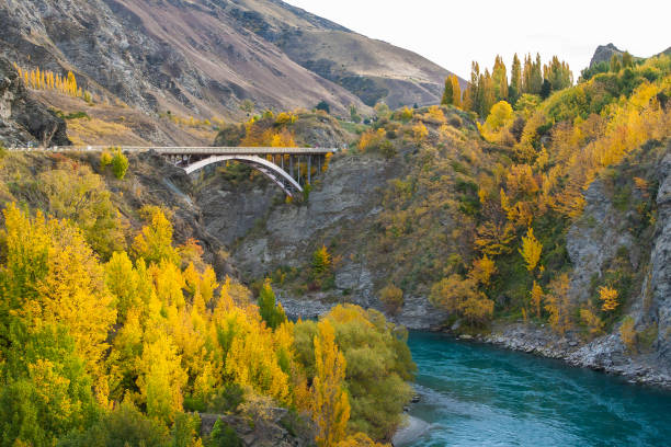 le pont des gorges de kawarau pour le saut à l’élastique dans la rivière kawarau, queenstown, nouvelle-zélande - kawarau river photos et images de collection