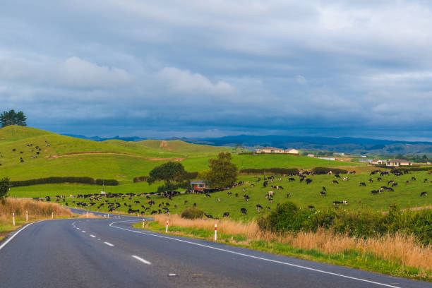 West coast on the South island, New Zealand