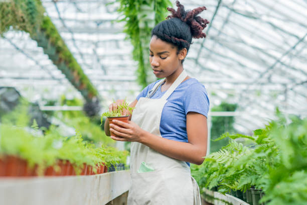 istock Looking At Plant In Nursery 667688772