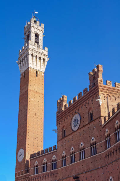 istock Torre del Mangia - Siena 667688980