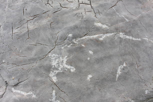 istock stone texture marble background, erosion creates in nature 667690264