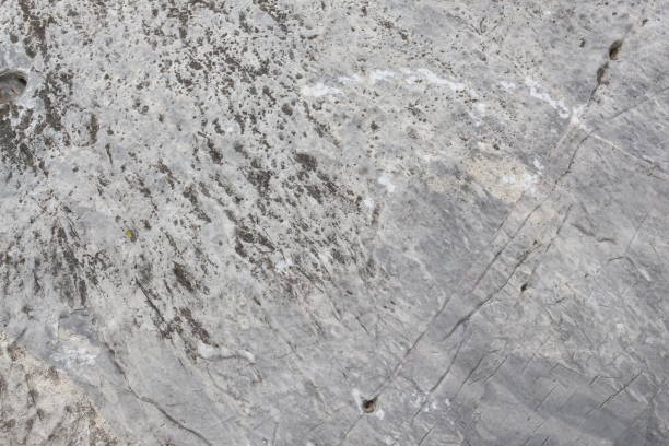 istock stone texture marble background, erosion creates in nature 667690320