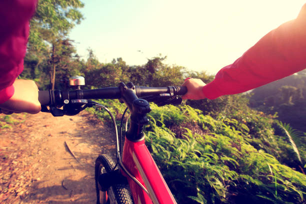 cyclist hands riding mountain bike on forest trail