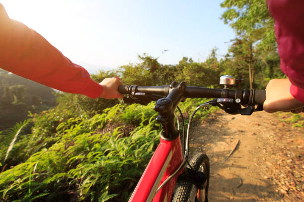 istock cyclist hands riding mountain bike on forest trail 667696920