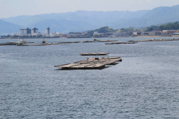 istock the Seto Inland Sea at Hiroshima 667697526