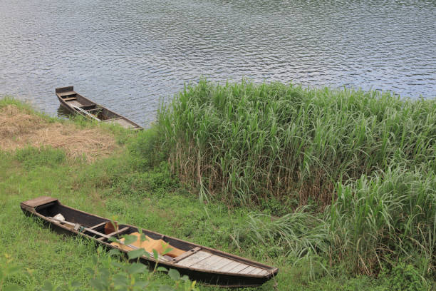 istock the boat at  Kintai Bridge 667704962