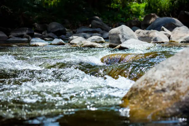 Take photo real time candid shot in natural river