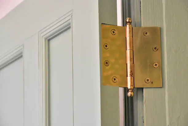 Spectacle of indoor wooden door hinges