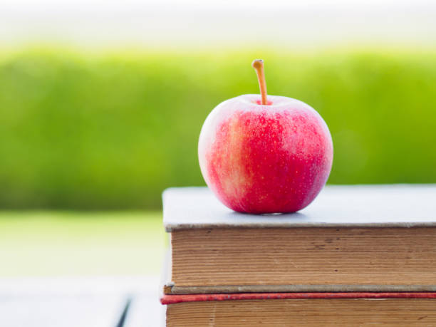 istock Stack of books and red apple on wooden table 667709548