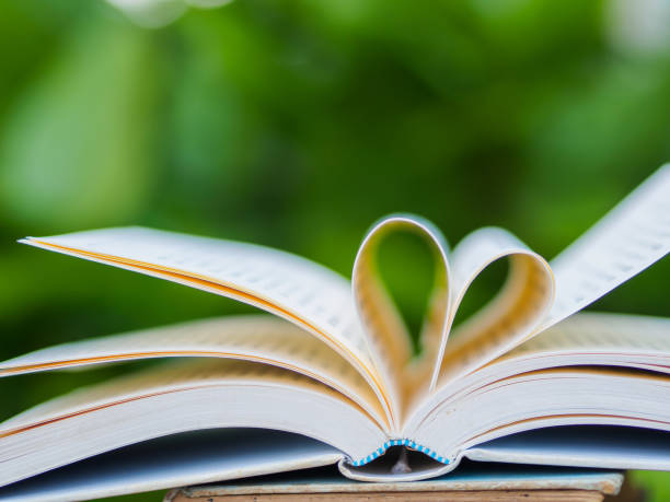 istock book on table in garden with top one opened and pages forming heart shape 667709554